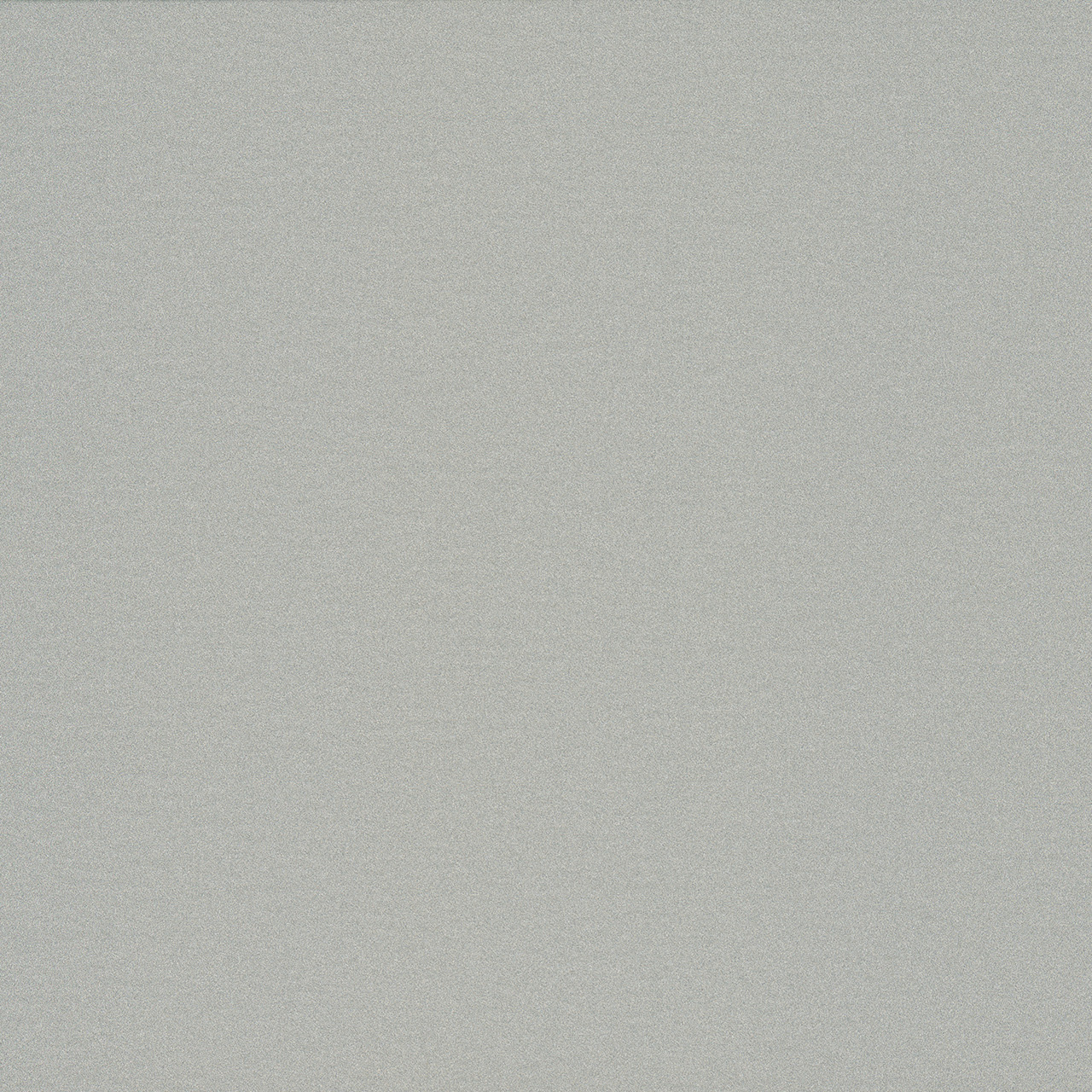 Anodic Silver | MD9500-G30 Anodic Silver MD9500-G30 | ALPOLIC™