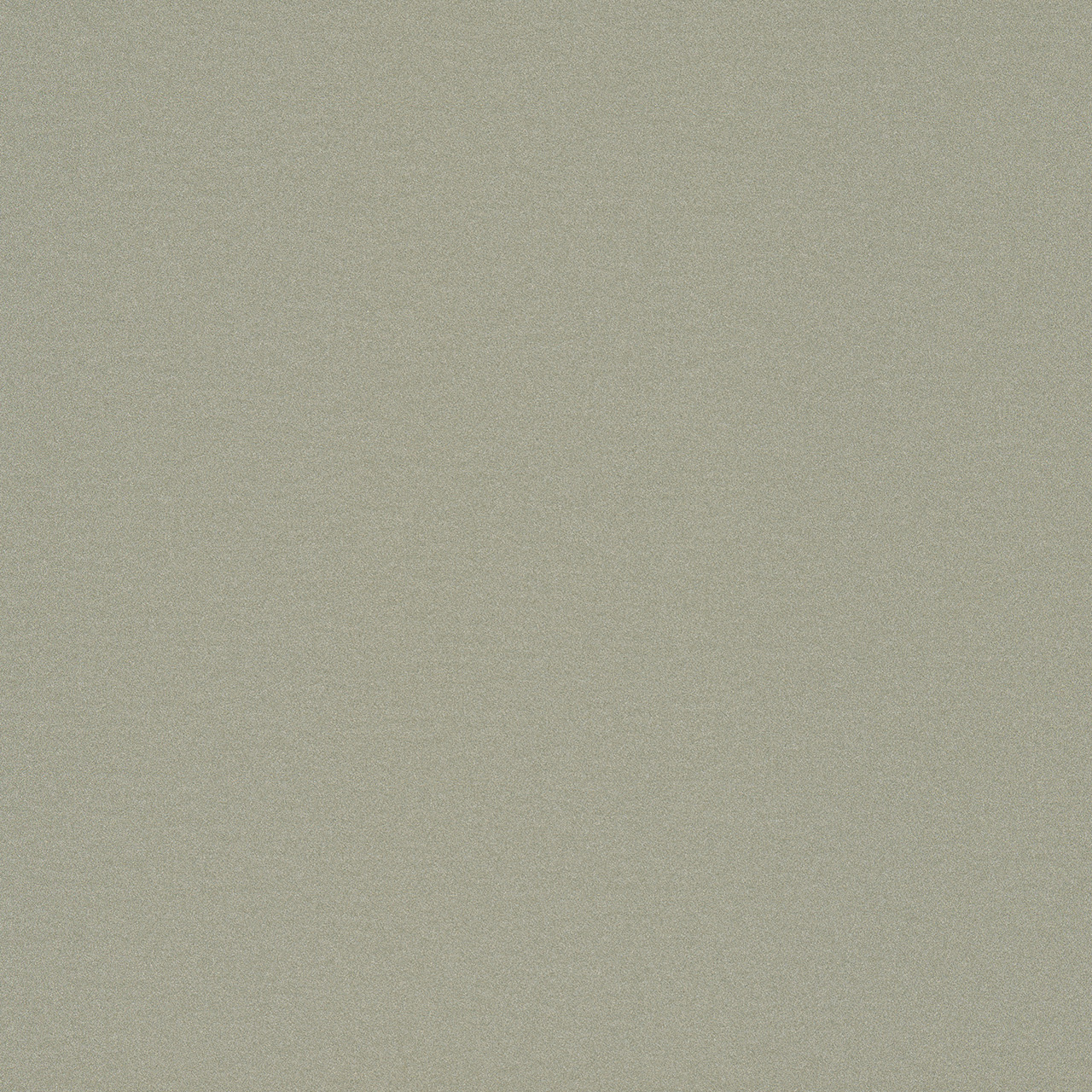 Champagne Silver | MD9503-G30 Champagne Silver MD 9503-G30 | ALPOLIC™
