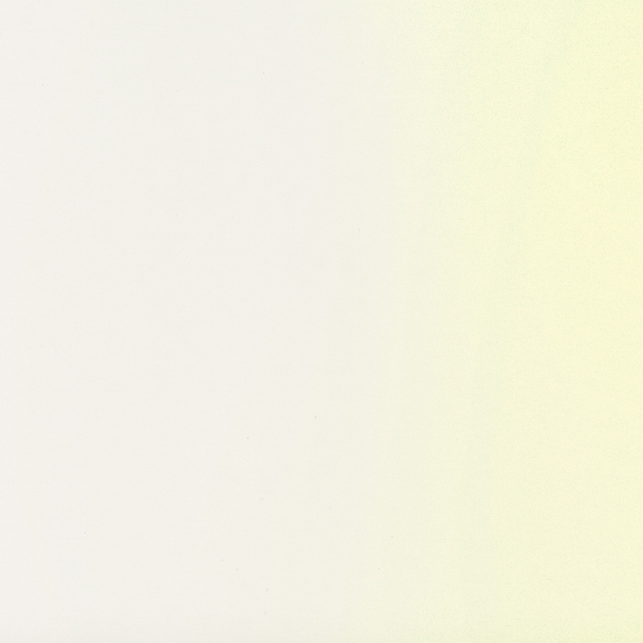 Pure White Gold | MI0239-G80 Pure White Gold MI0239-G80| ALPOLIC™