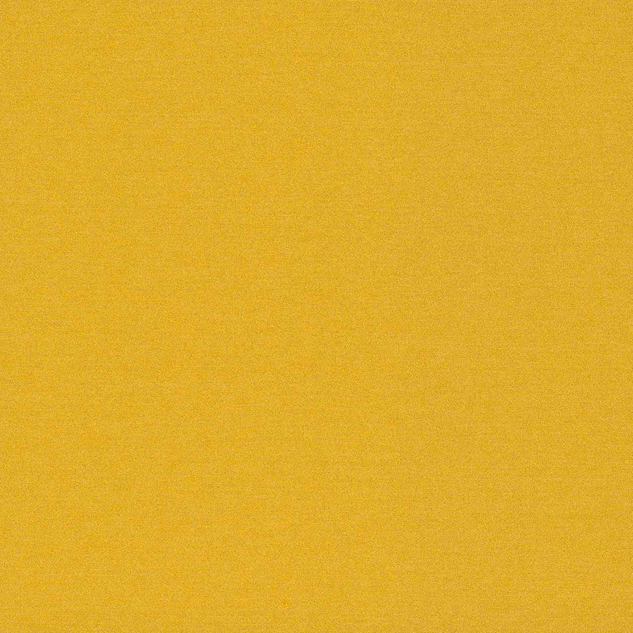 Stardust Gold | MG0242-G80 Stardust Gold MG0242-G80 | ALPOLIC™