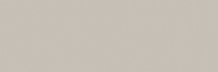 Champagne Metallic | M9177-G30 Champagne Metallic M9177-G30 | ALPOLIC™