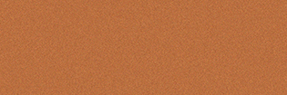 Light Brown Metallic | MB542-G30 Light Brown Metallic MB542-G30 | ALPOLIC™