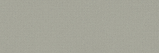 Champagne-Silver DE-MD9503-G30 Colour sample Champagne-Silver DE-MD9503-G30 from the colour chart Standard